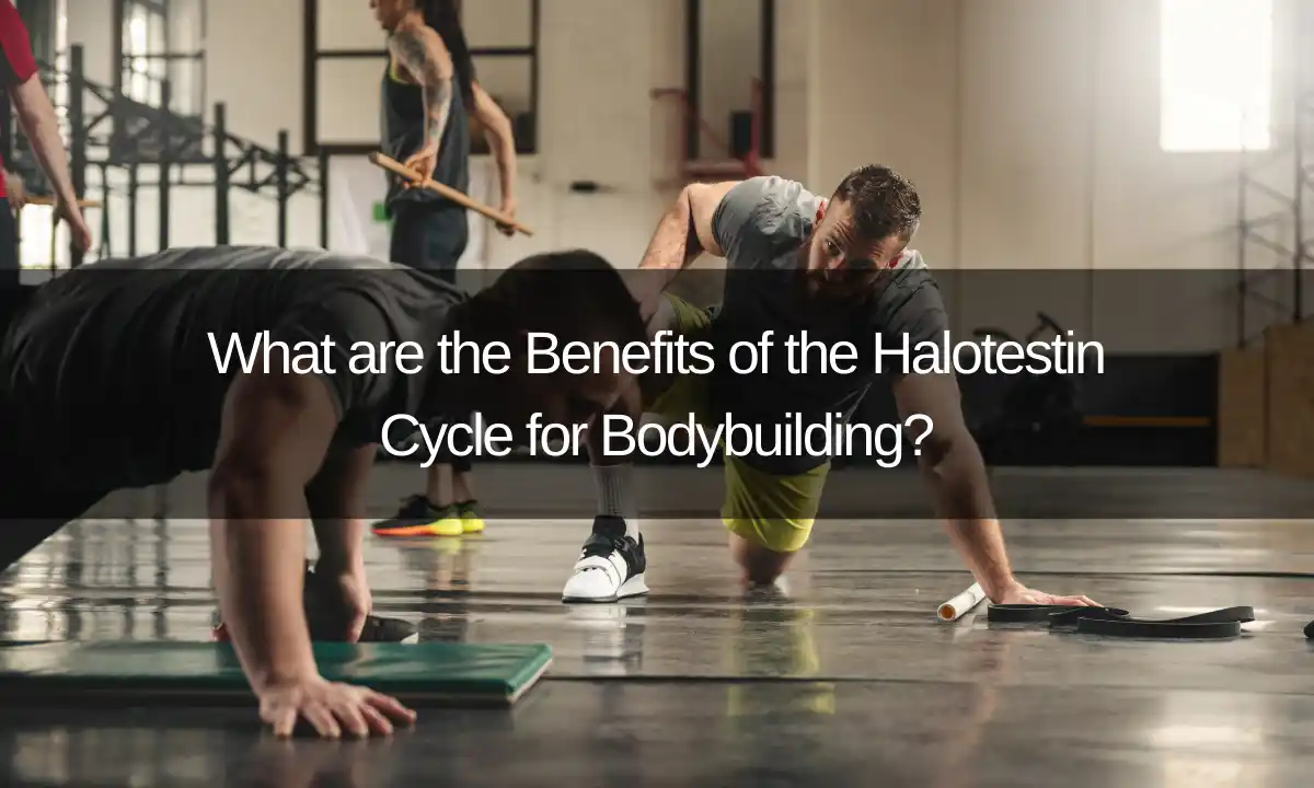 Halotestin cycle benefits