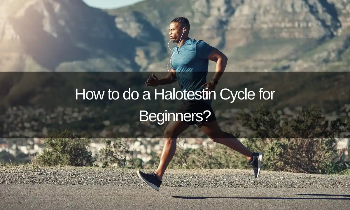 Halotestin Cycle for Beginners