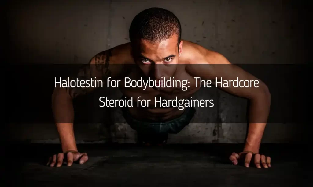 Halotestin for Bodybuilding